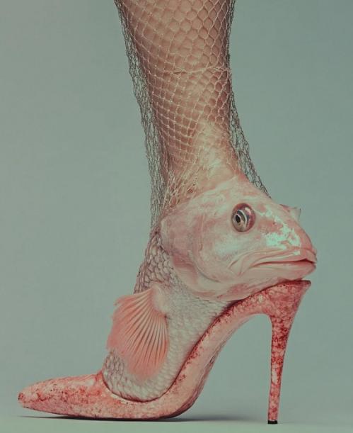 ������� �����