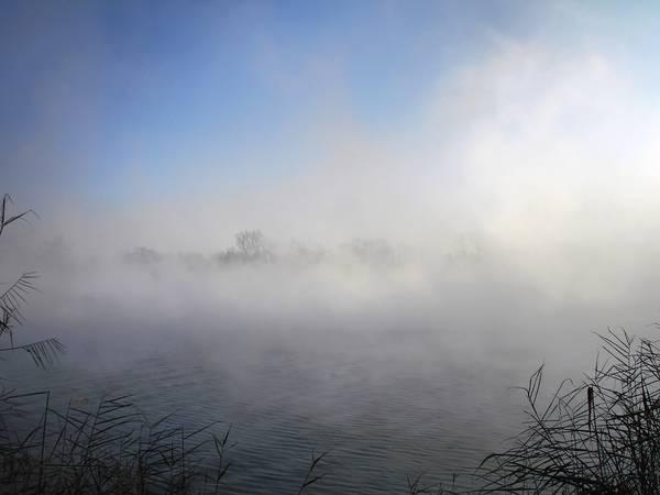 Туманный пейзаж. Туман спал. Лошадь в тумане. Лошади в деревне. Мгла природа.