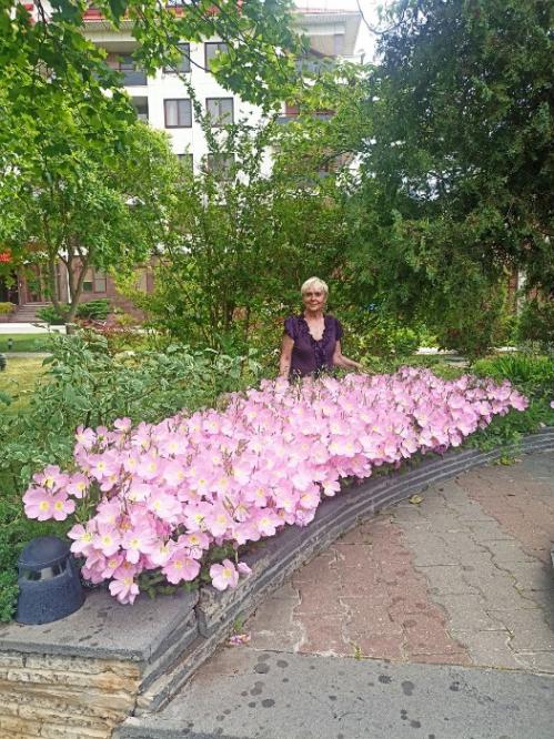 ��������� ����